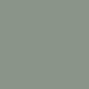 P303769 - Single Stage Gray Paint 第28号——28岁的一张ART